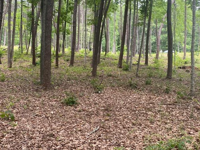 Lot 96 Crestview RD - Photo 4