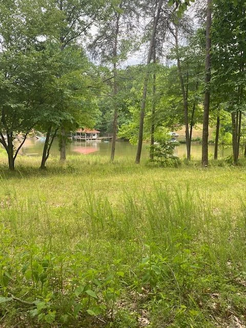 Lot 96 Crestview RD - Photo 5
