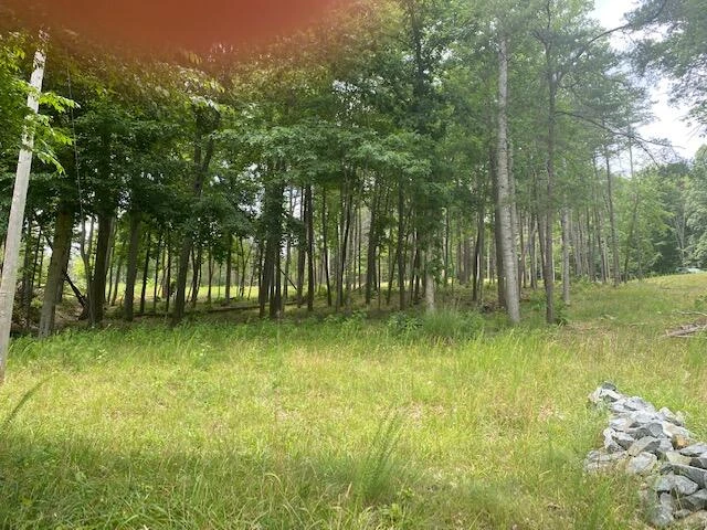Lot 96 Crestview RD - Photo 7