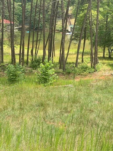 Lot 96 Crestview RD - Photo 9