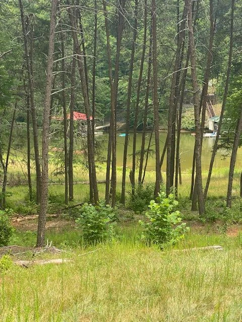 Lot 96 Crestview RD - Photo 10