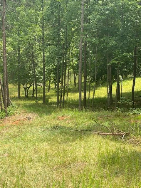 Lot 96 Crestview RD - Photo 11