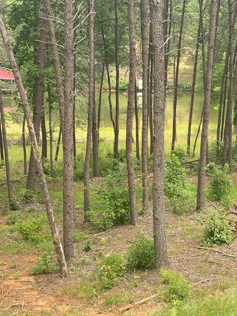 Lot 96 Crestview RD - Photo 12