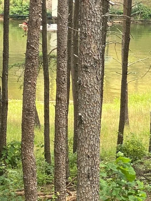 Lot 96 Crestview RD - Photo 13