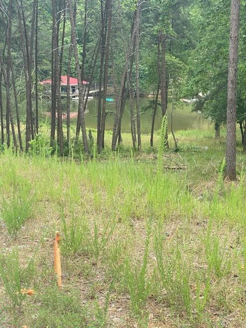 Lot 96 Crestview RD - Photo 14
