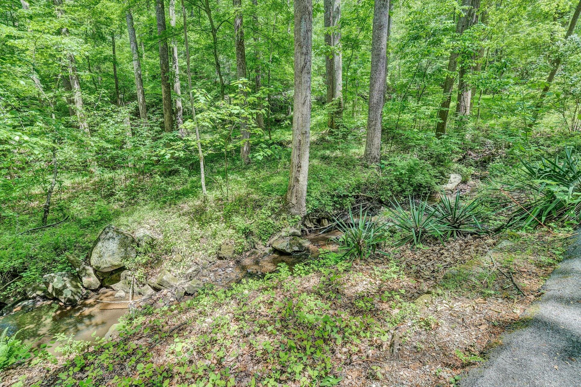 5122 Old Virginia Springs RD - Photo 101