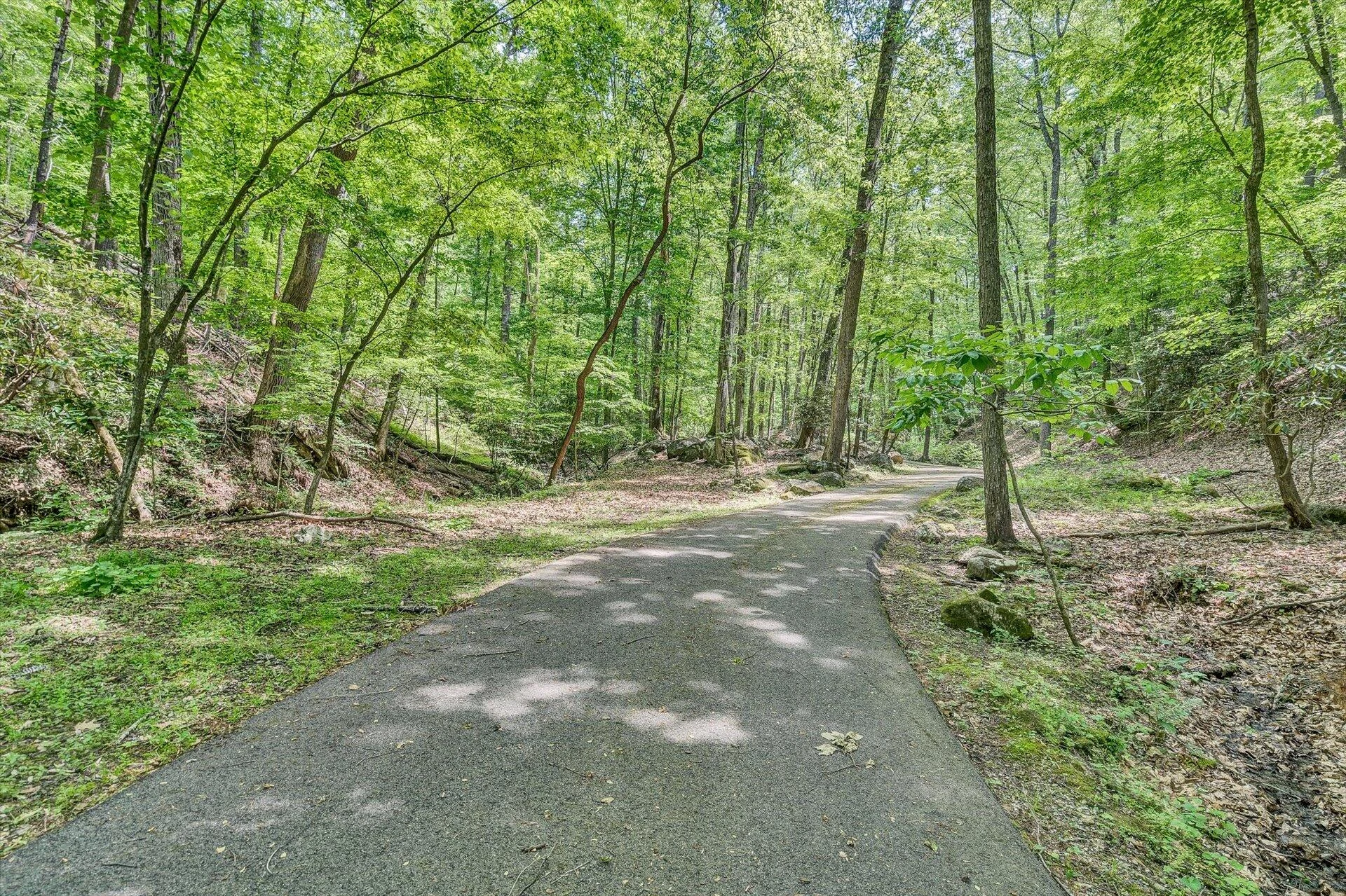 5122 Old Virginia Springs RD - Photo 103