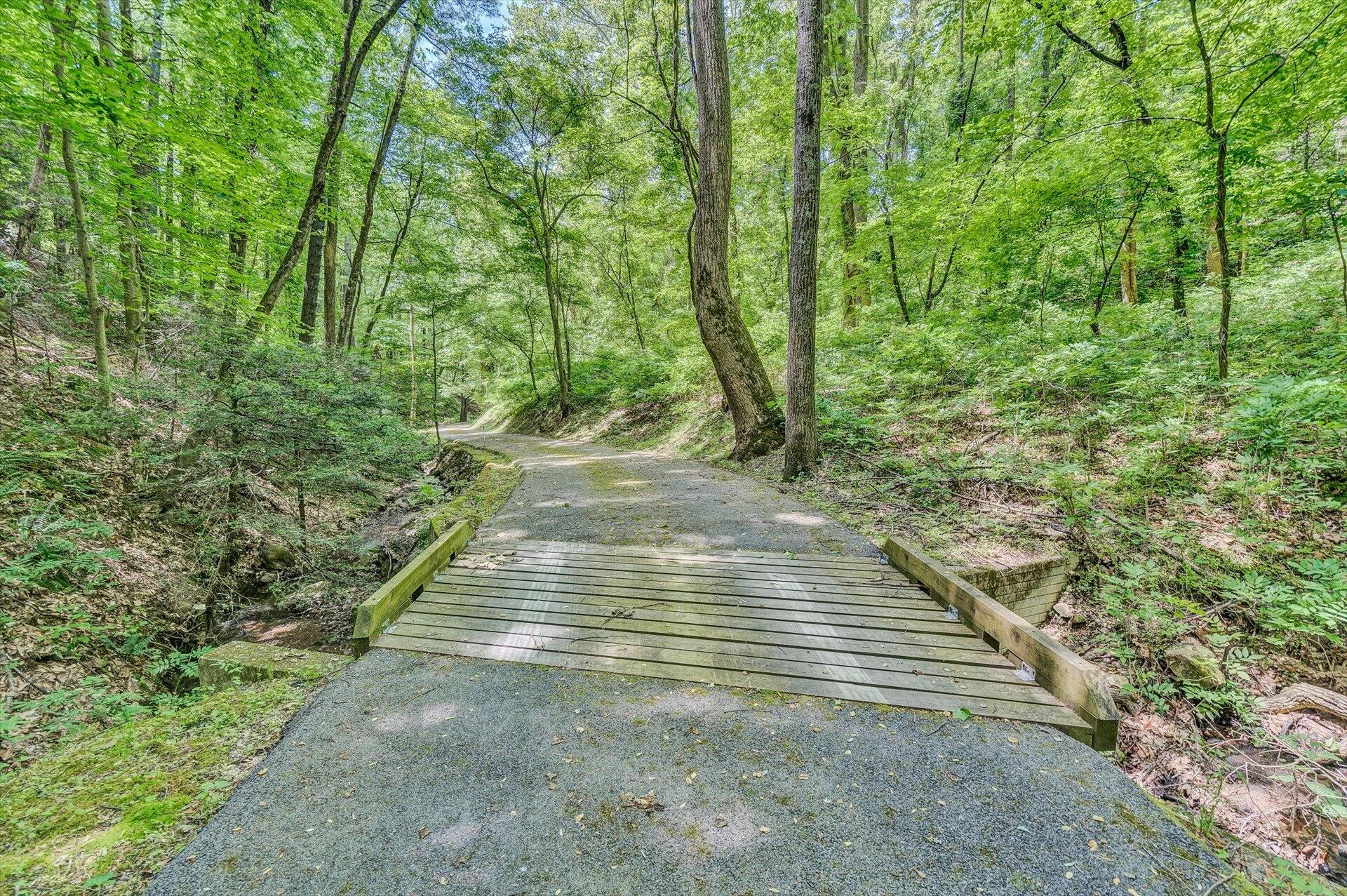 5122 Old Virginia Springs RD - Photo 104