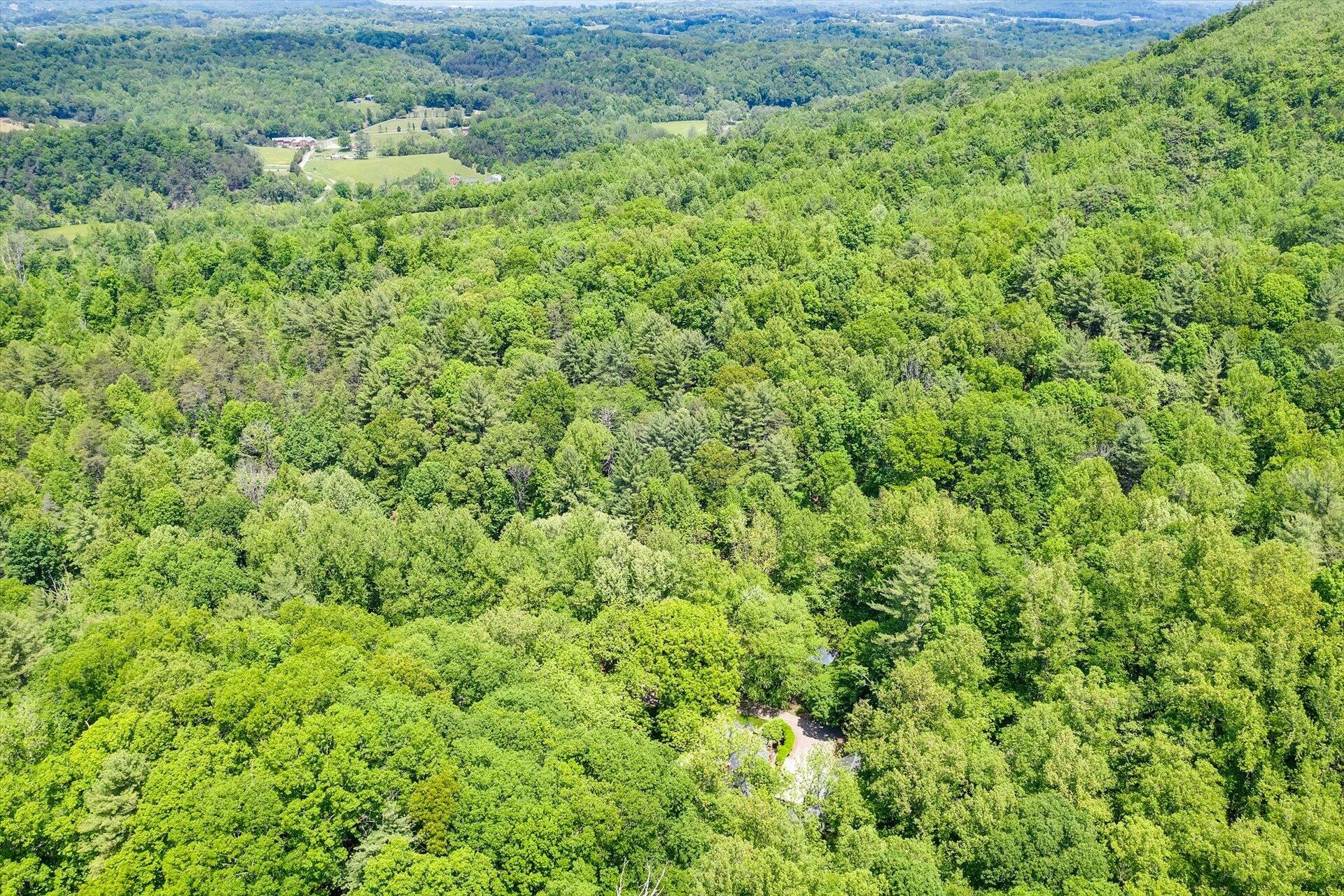 5122 Old Virginia Springs RD - Photo 106