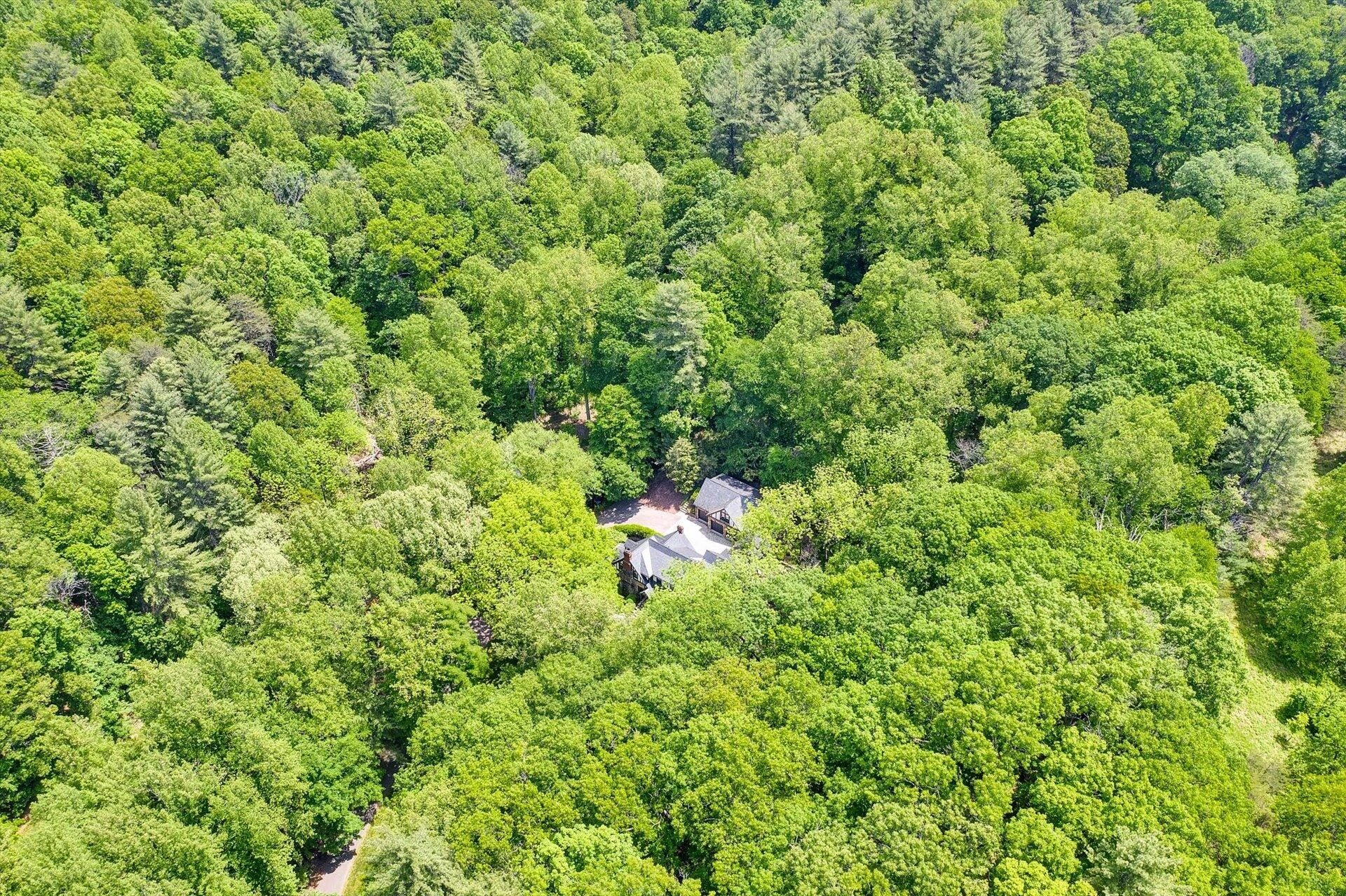5122 Old Virginia Springs RD - Photo 107