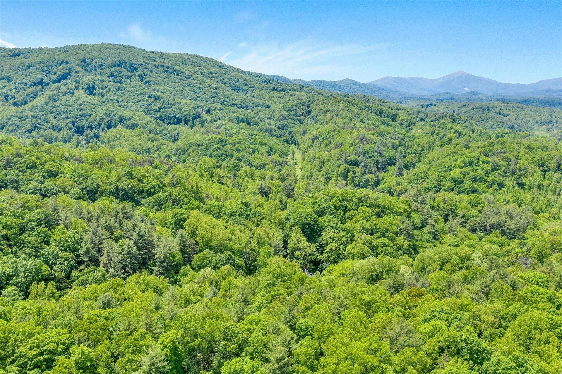 5122 Old Virginia Springs RD - Photo 108
