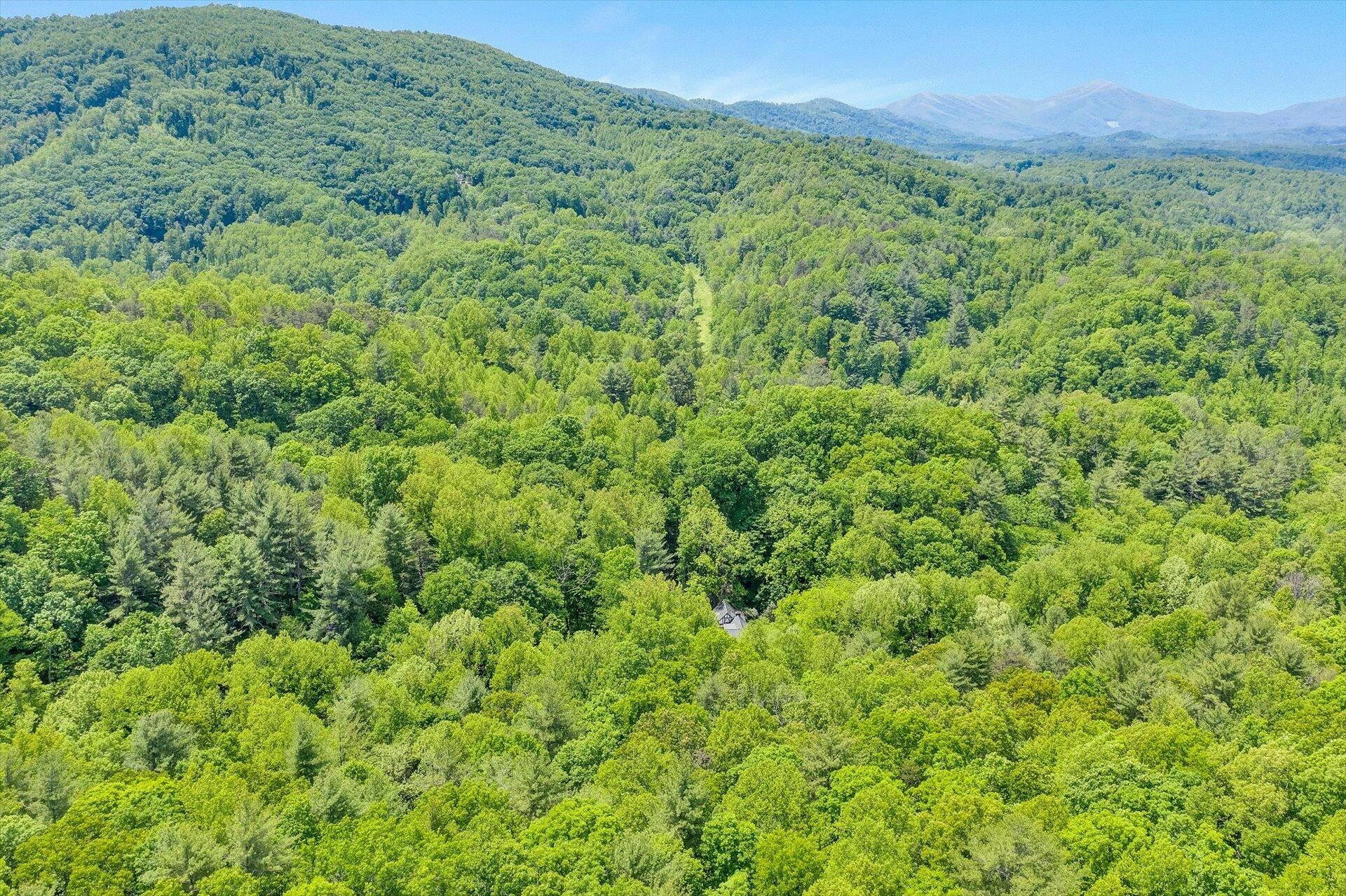 5122 Old Virginia Springs RD - Photo 109