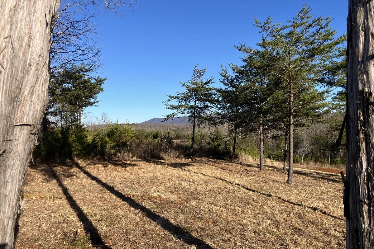 LOT 5 JFK BLVD - Photo 5