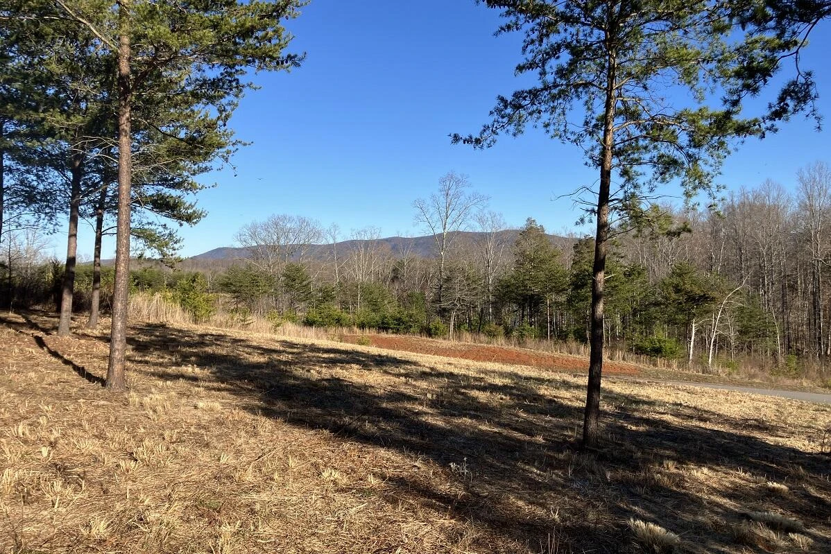LOT 5 JFK BLVD - Photo 8