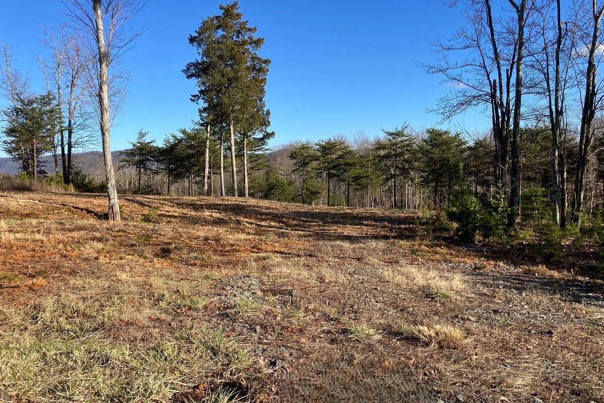 LOT 5 JFK BLVD - Photo 9