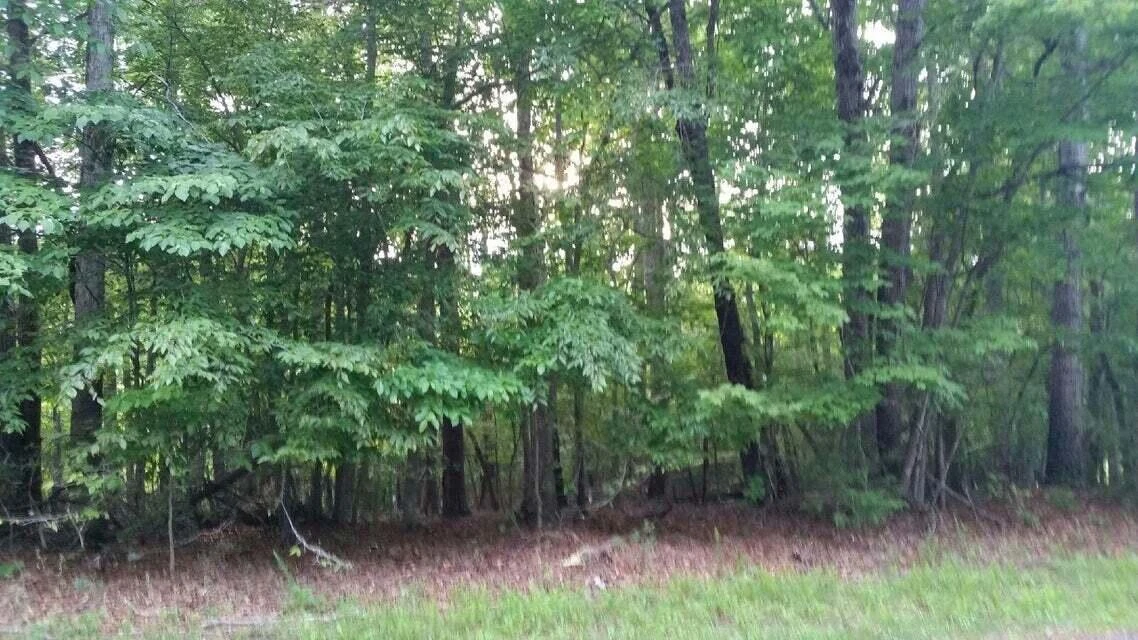 Lot 1 Mallard Point RD