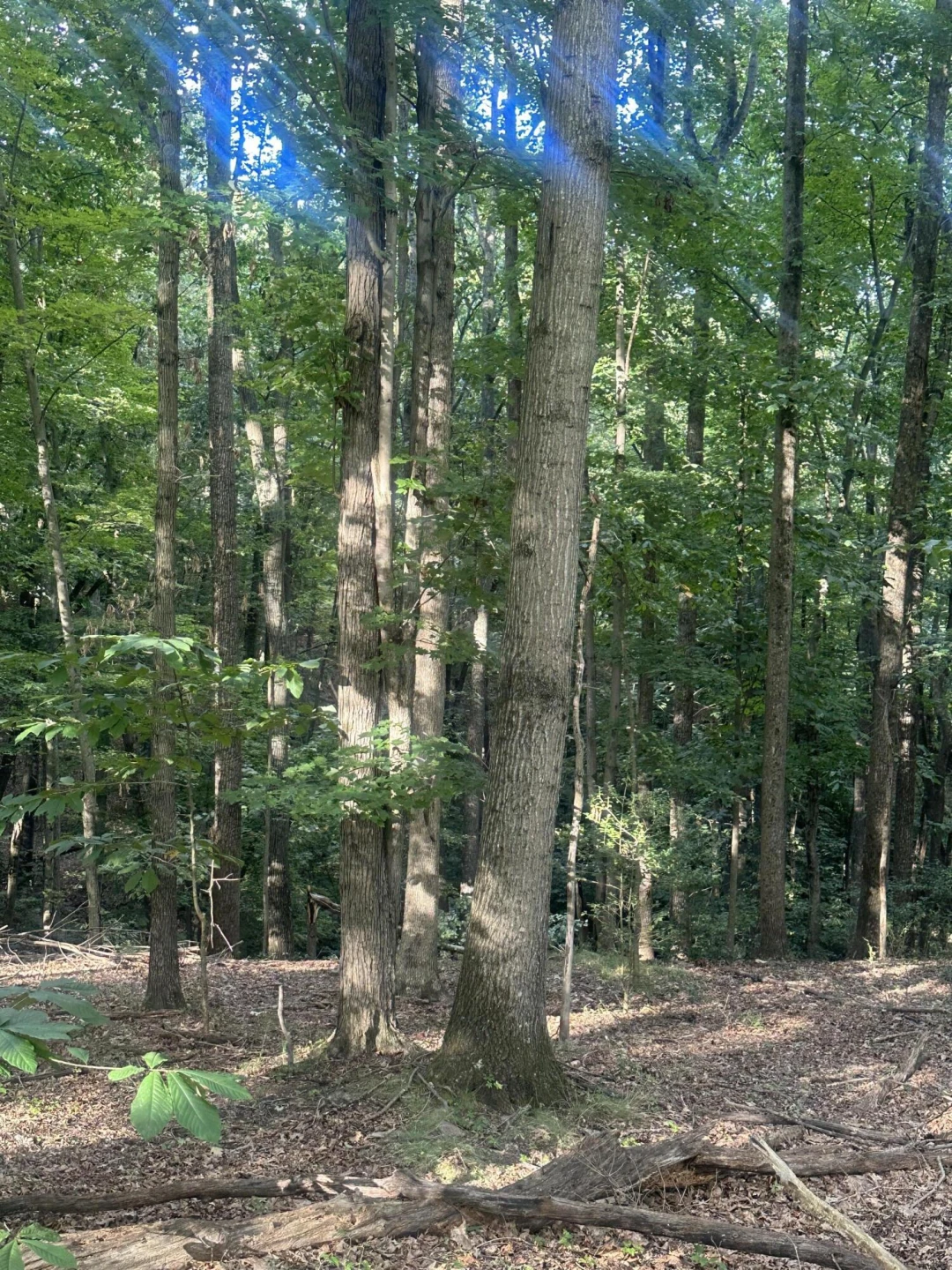0 Heatherton DR - Photo 5
