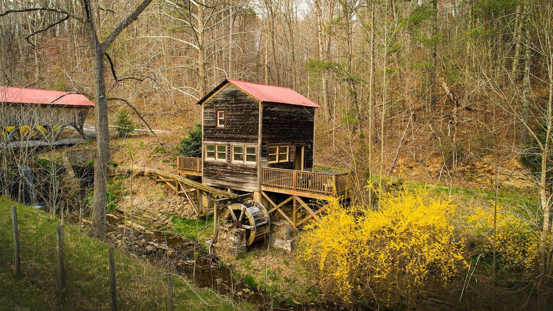 0 Tall Pine LN - Photo 11