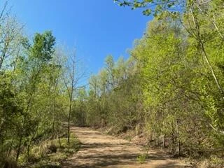 0 Tall Pine LN - Photo 23