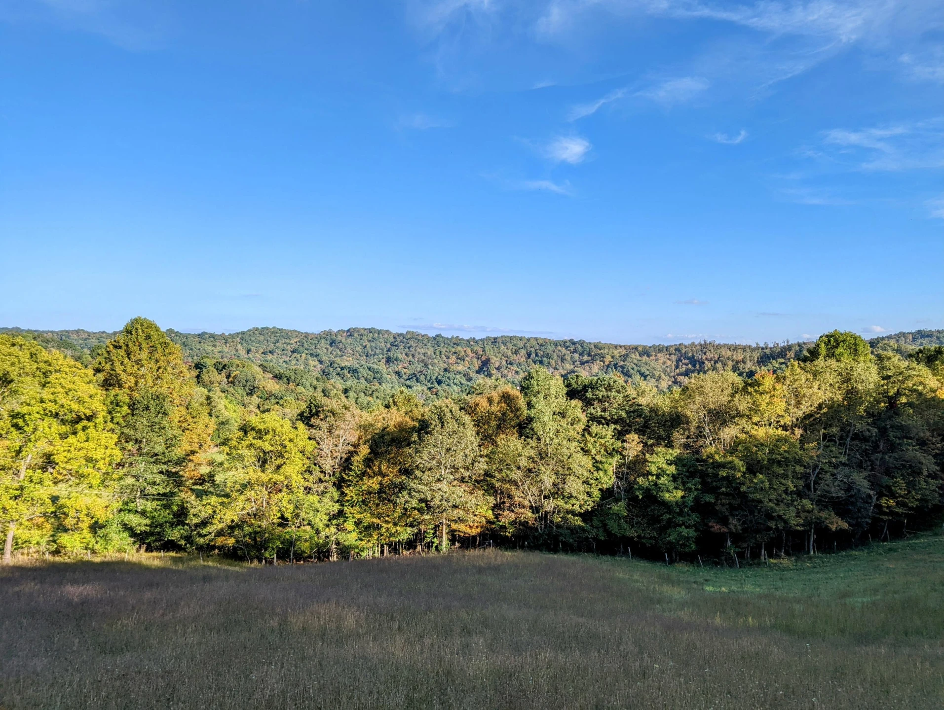 0 Laurel Creek RD NE - Photo 14