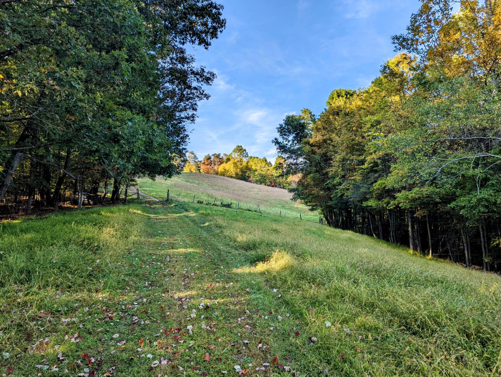 0 Laurel Creek RD NE - Photo 15
