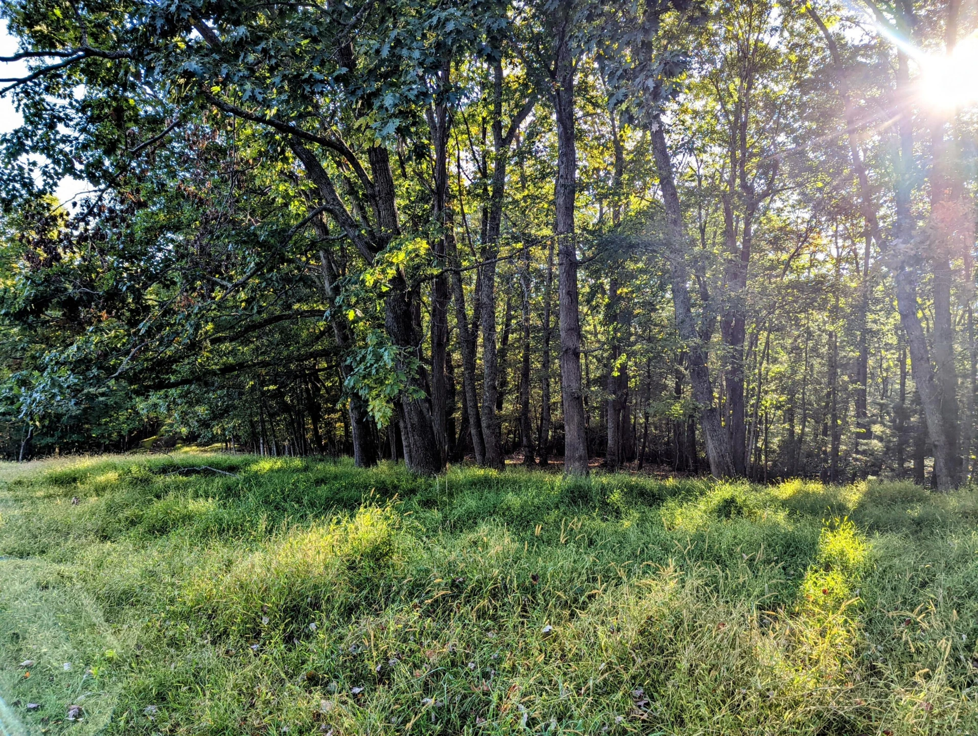 0 Laurel Creek RD NE - Photo 16