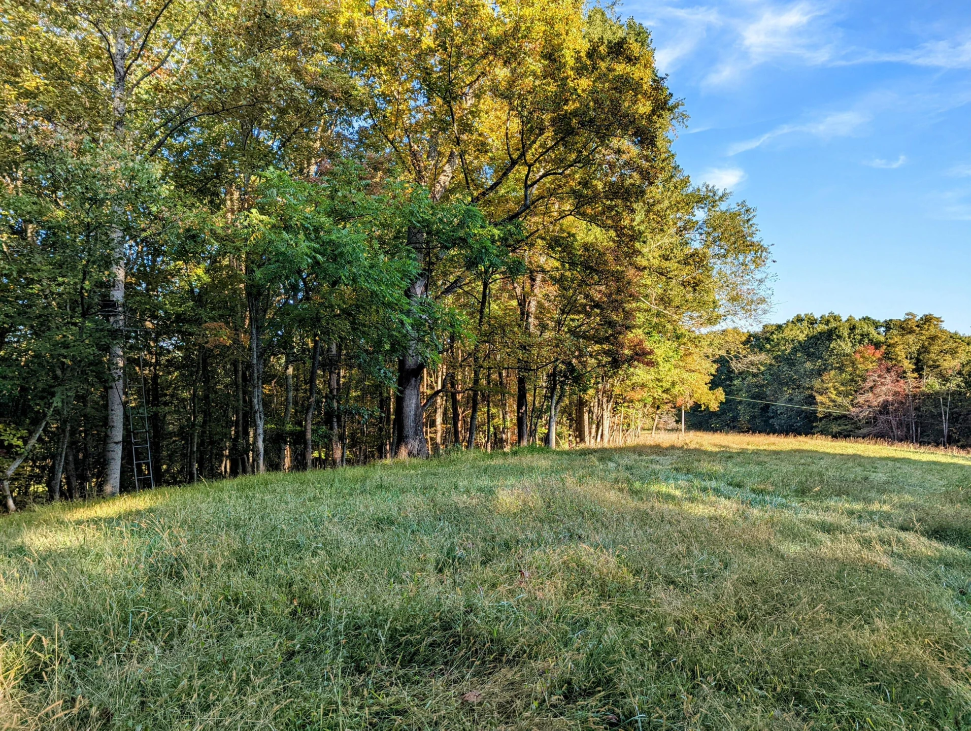 0 Laurel Creek RD NE - Photo 17