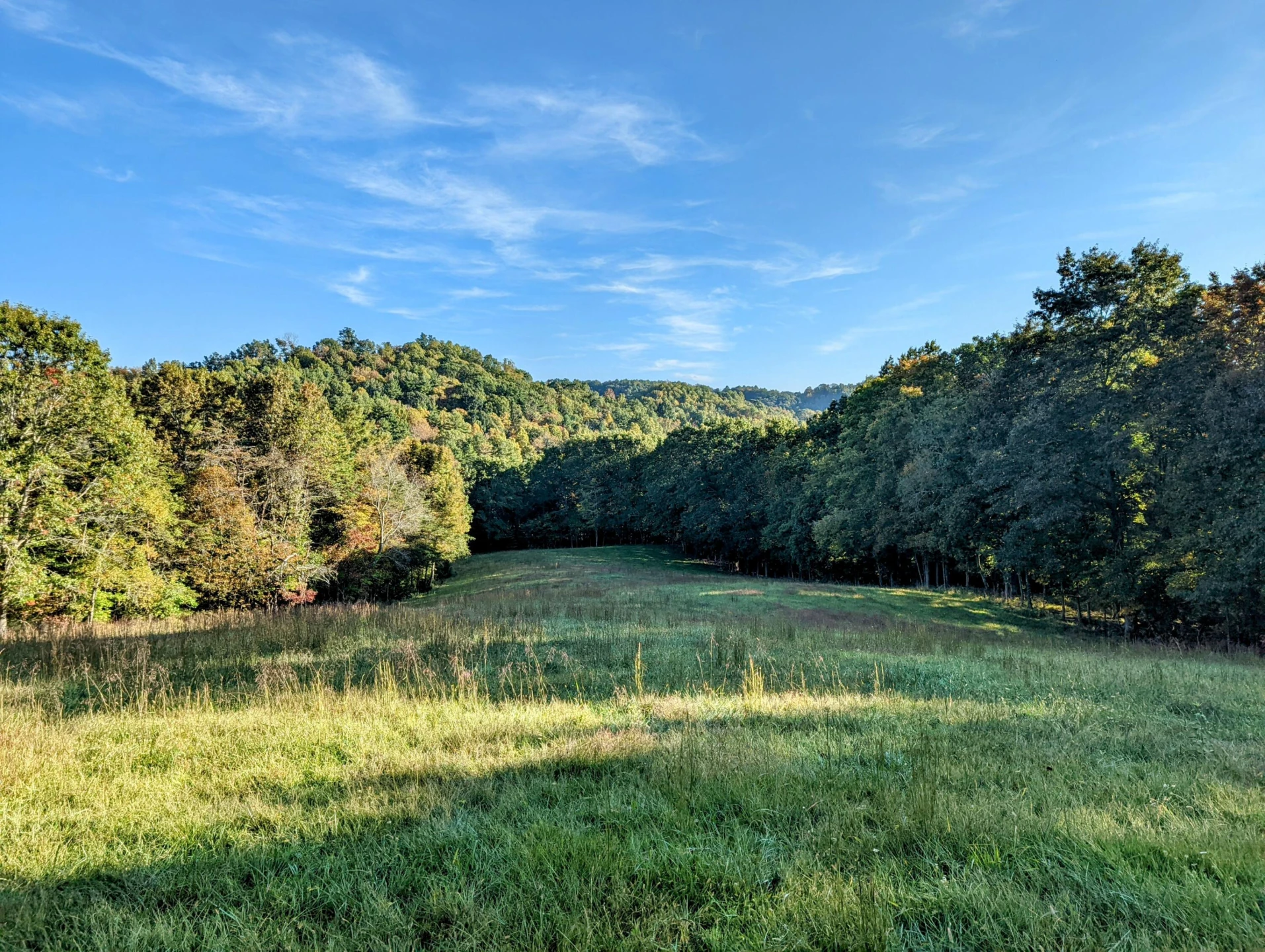 0 Laurel Creek RD NE - Photo 19