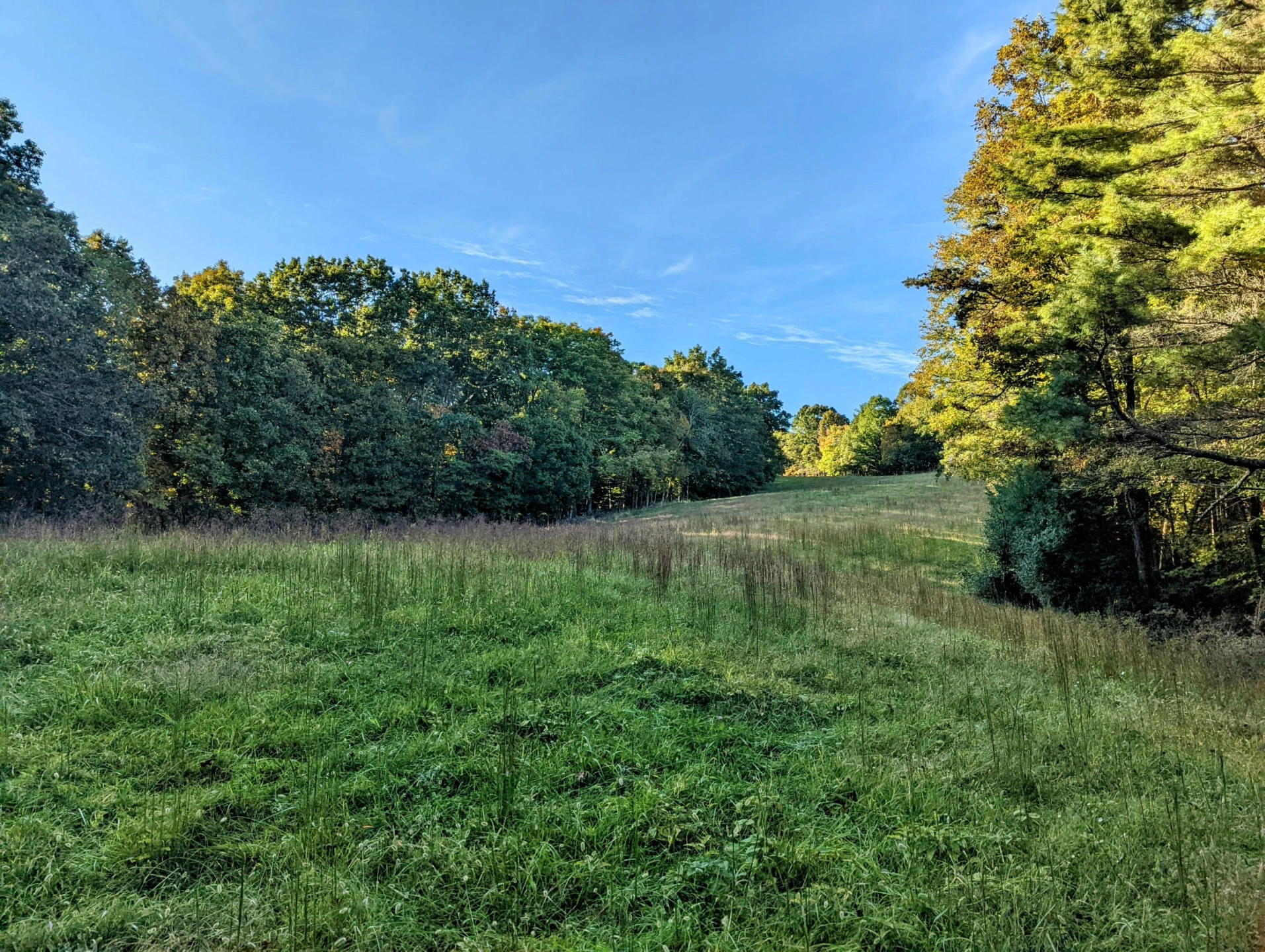 0 Laurel Creek RD NE - Photo 20