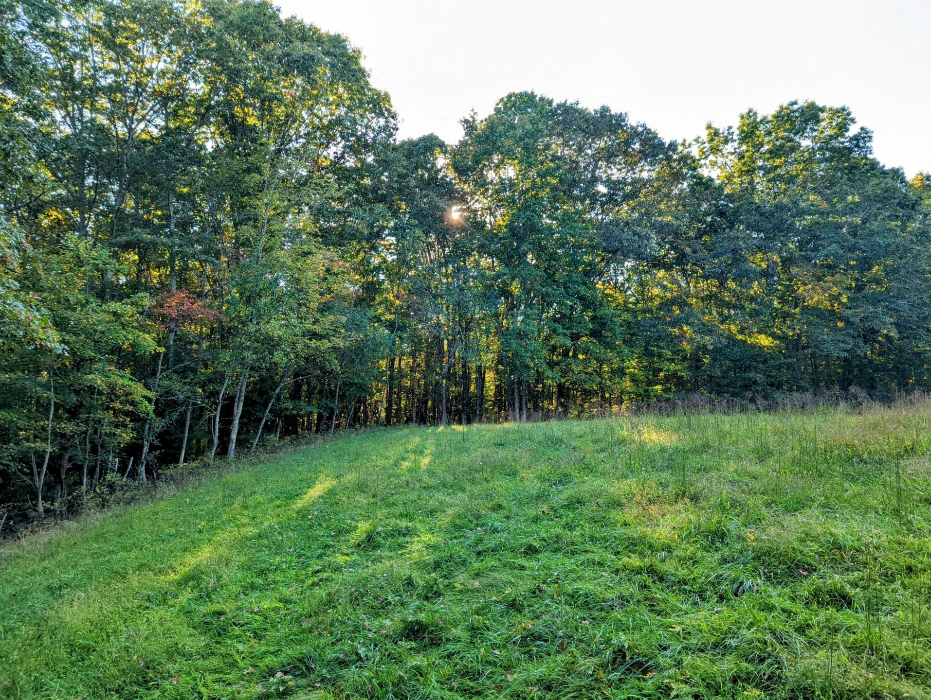 0 Laurel Creek RD NE - Photo 21