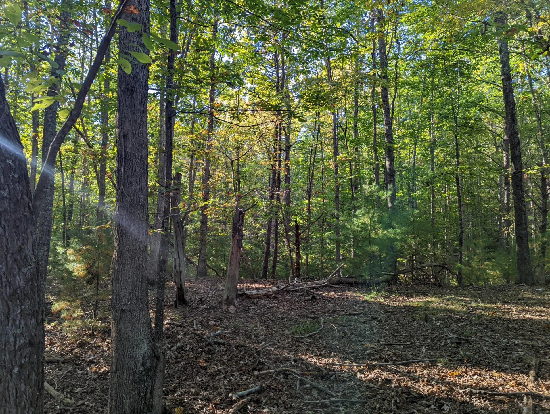 0 Laurel Creek RD NE - Photo 23