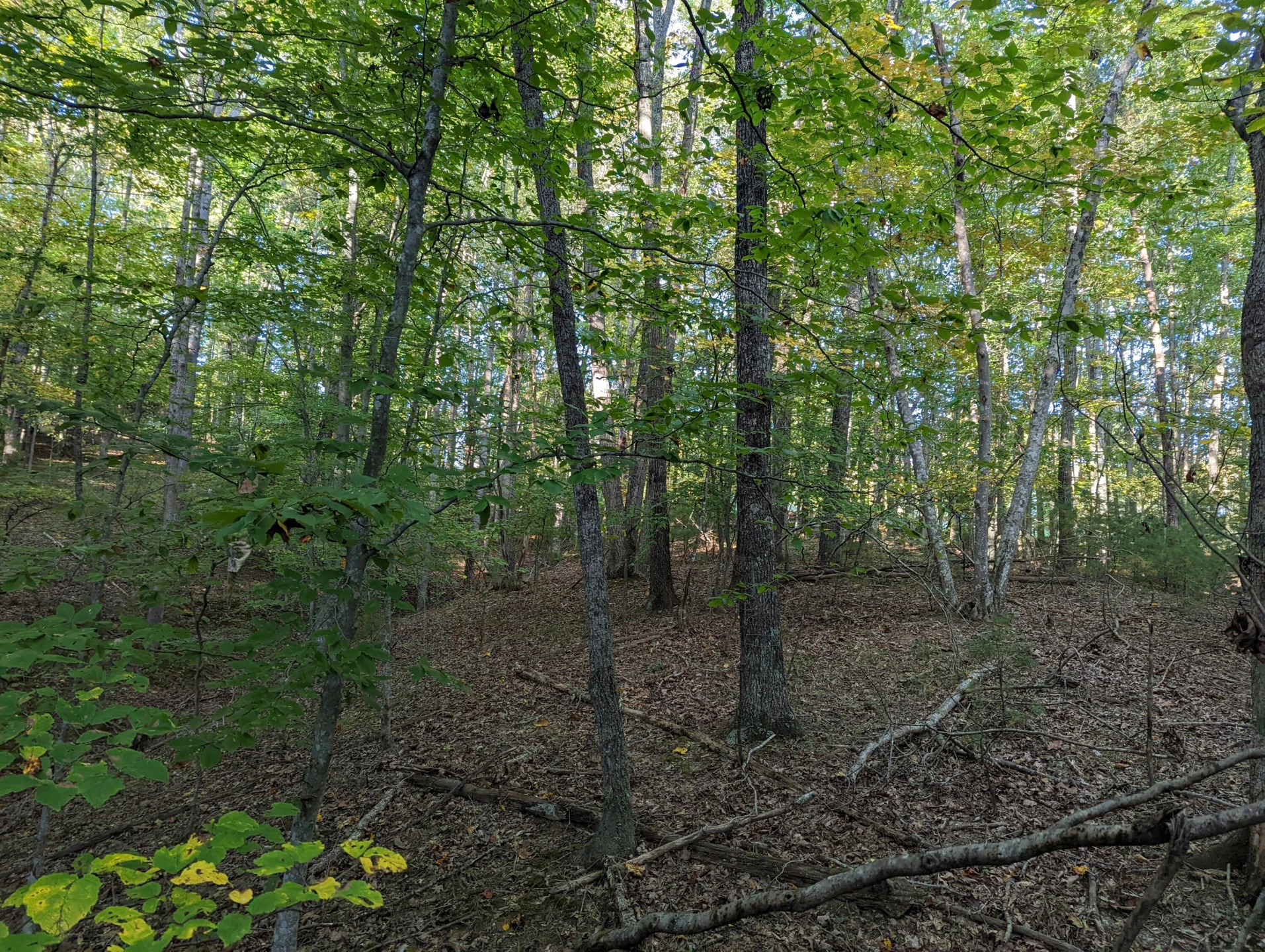 0 Laurel Creek RD NE - Photo 24