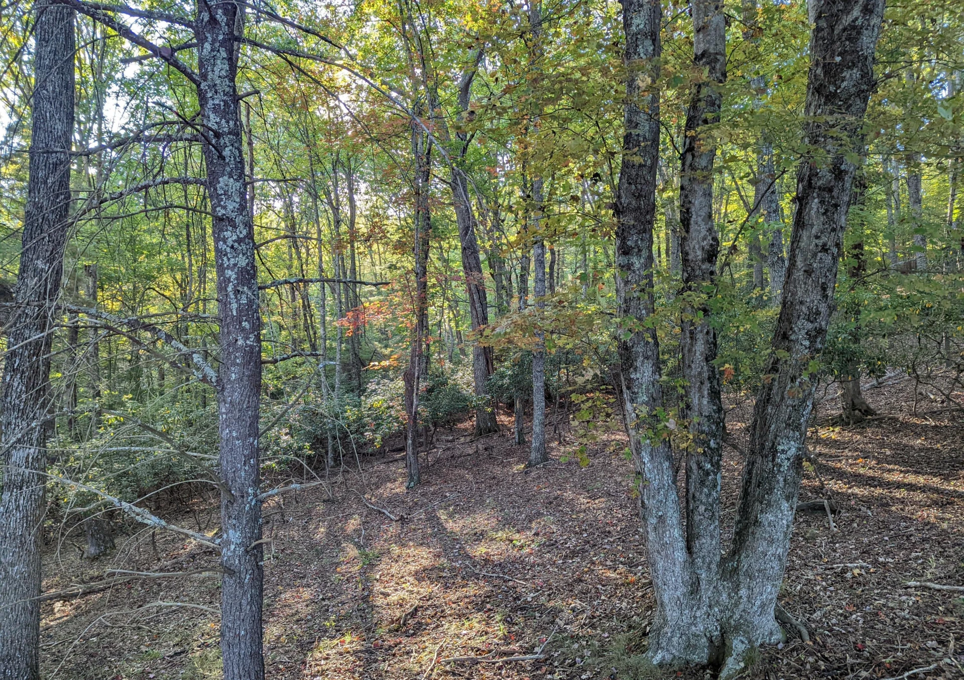 0 Laurel Creek RD NE - Photo 25