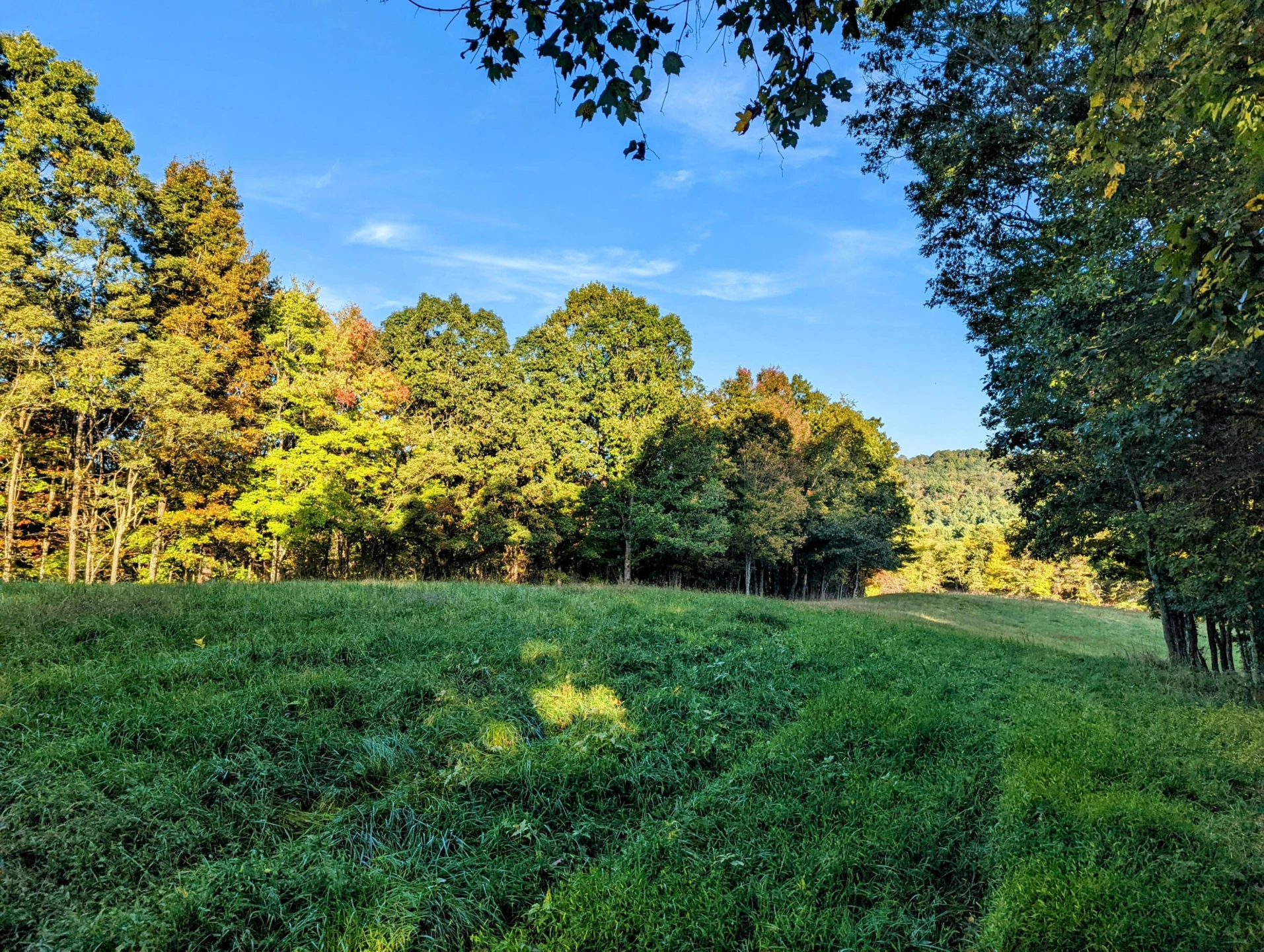 0 Laurel Creek RD NE - Photo 26