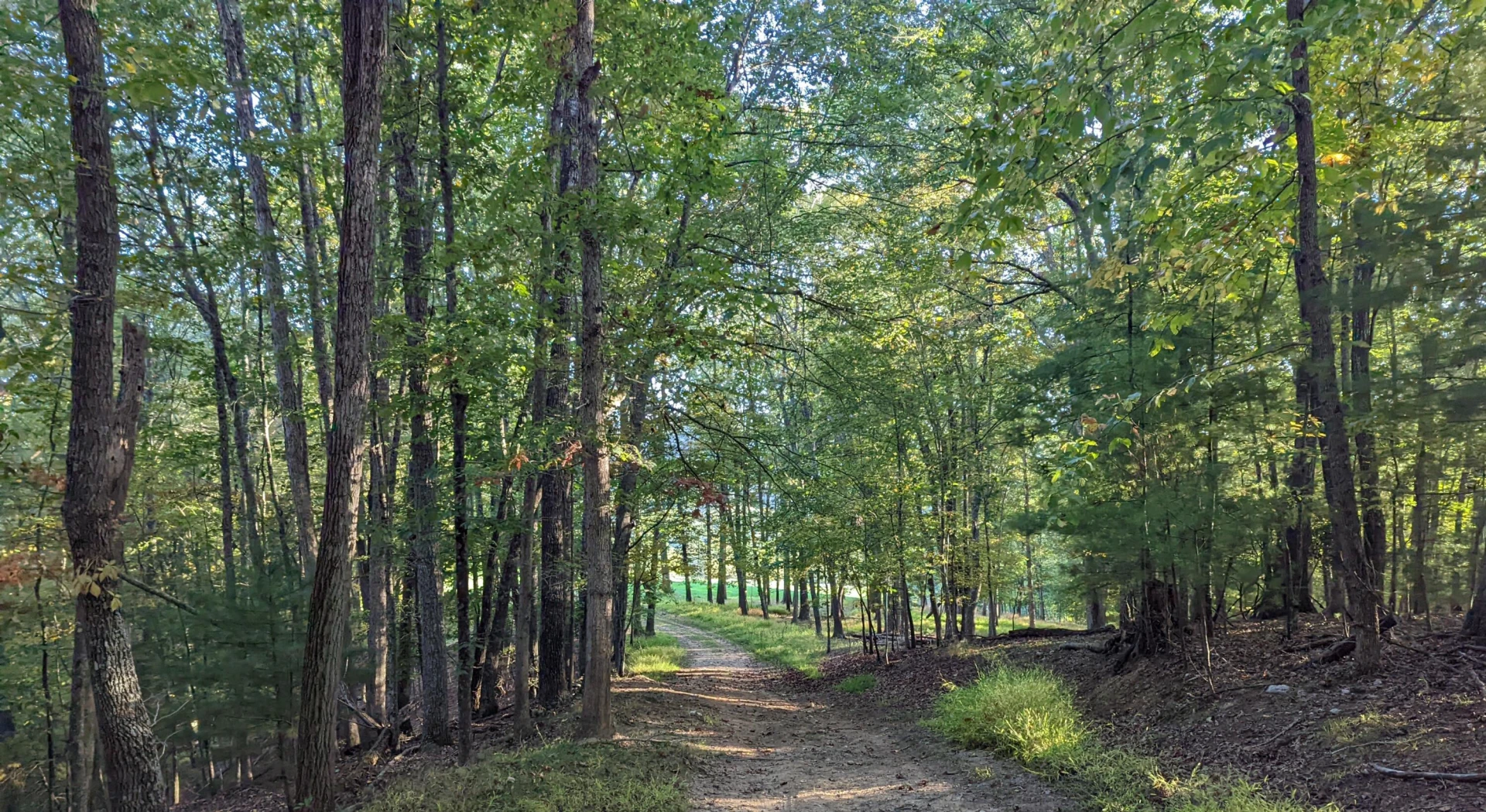 0 Laurel Creek RD NE - Photo 27