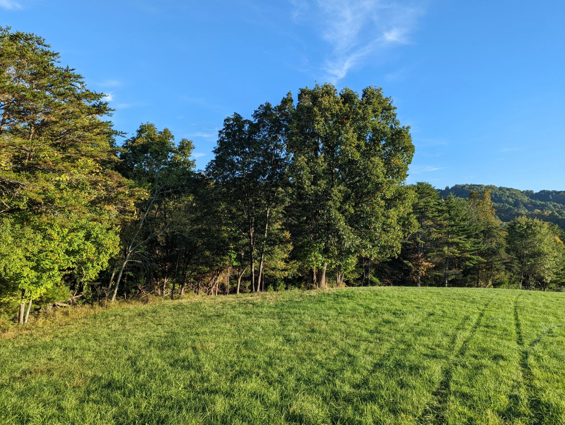 0 Laurel Creek RD NE - Photo 30