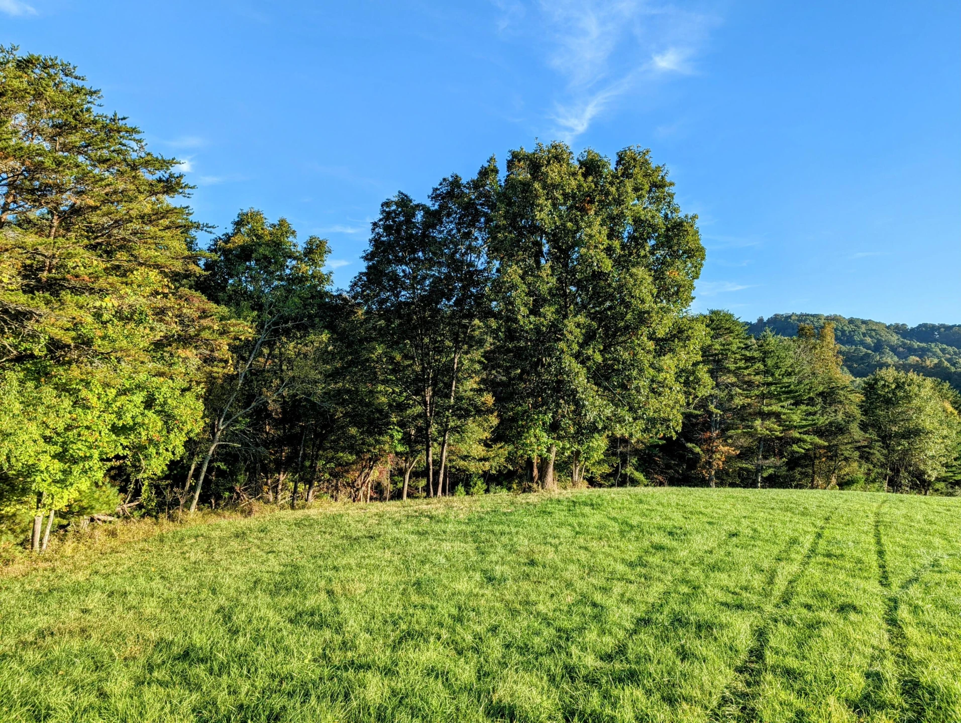 0 Laurel Creek RD NE - Photo 31