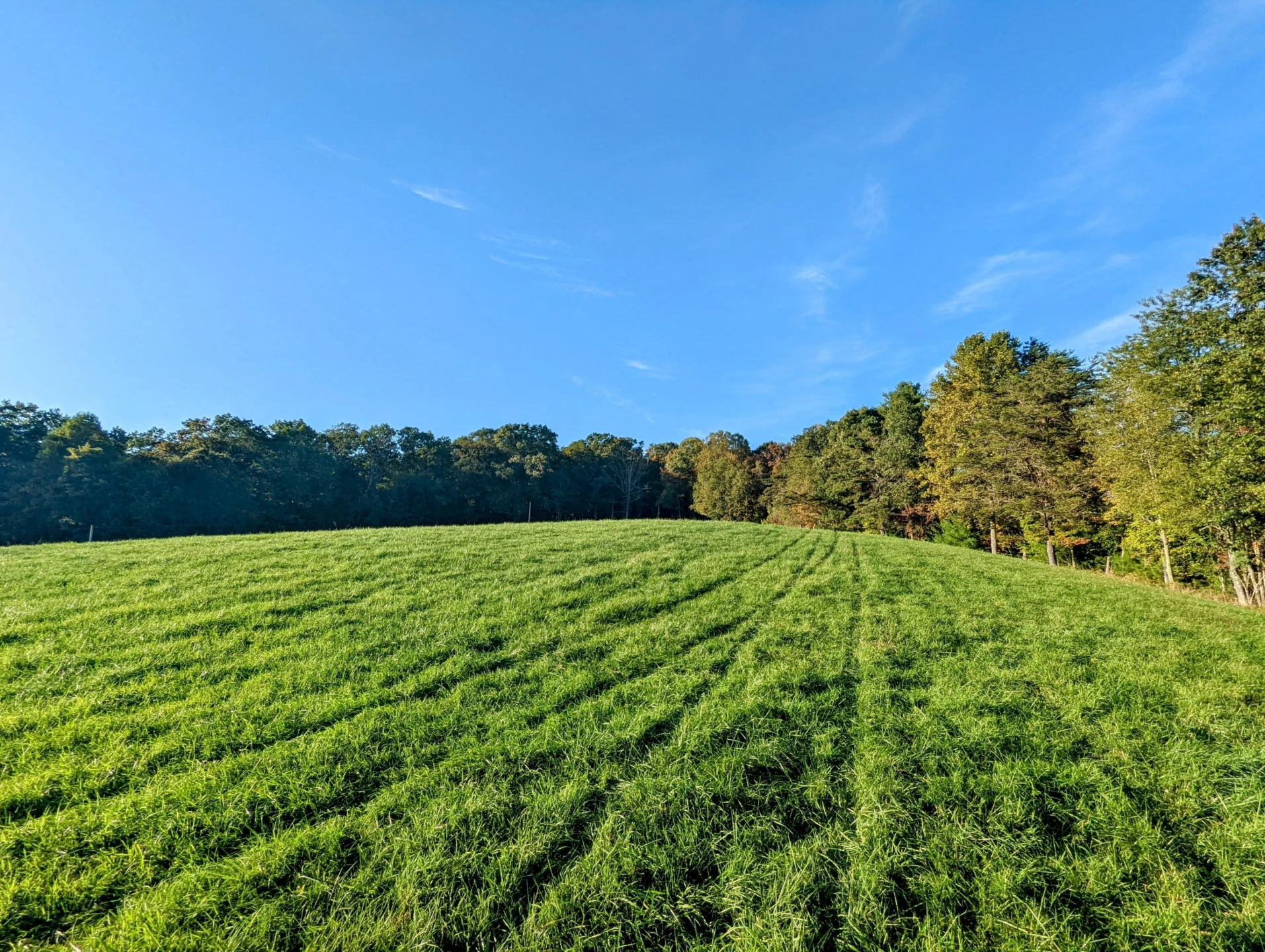 0 Laurel Creek RD NE - Photo 33