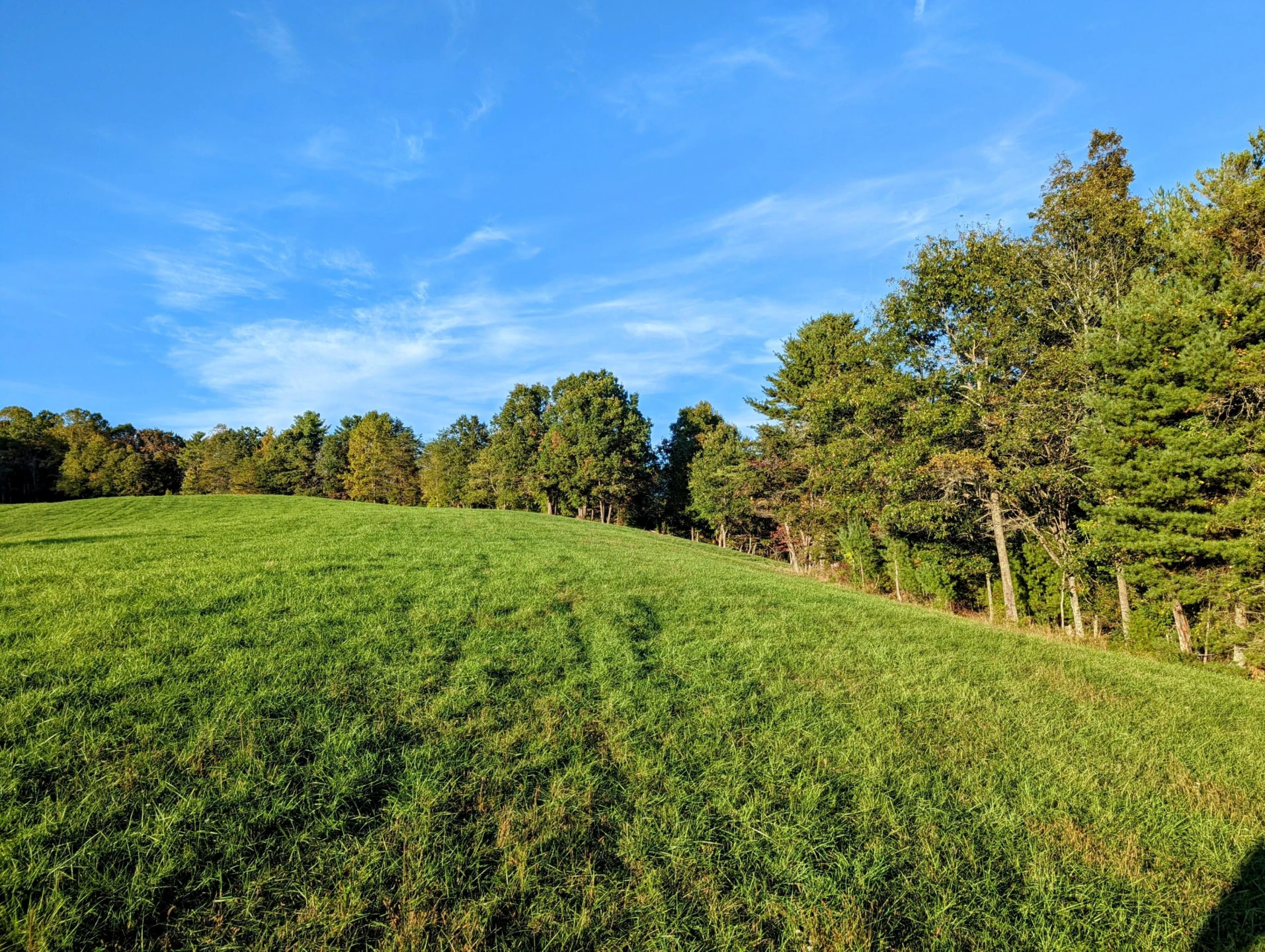 0 Laurel Creek RD NE - Photo 36