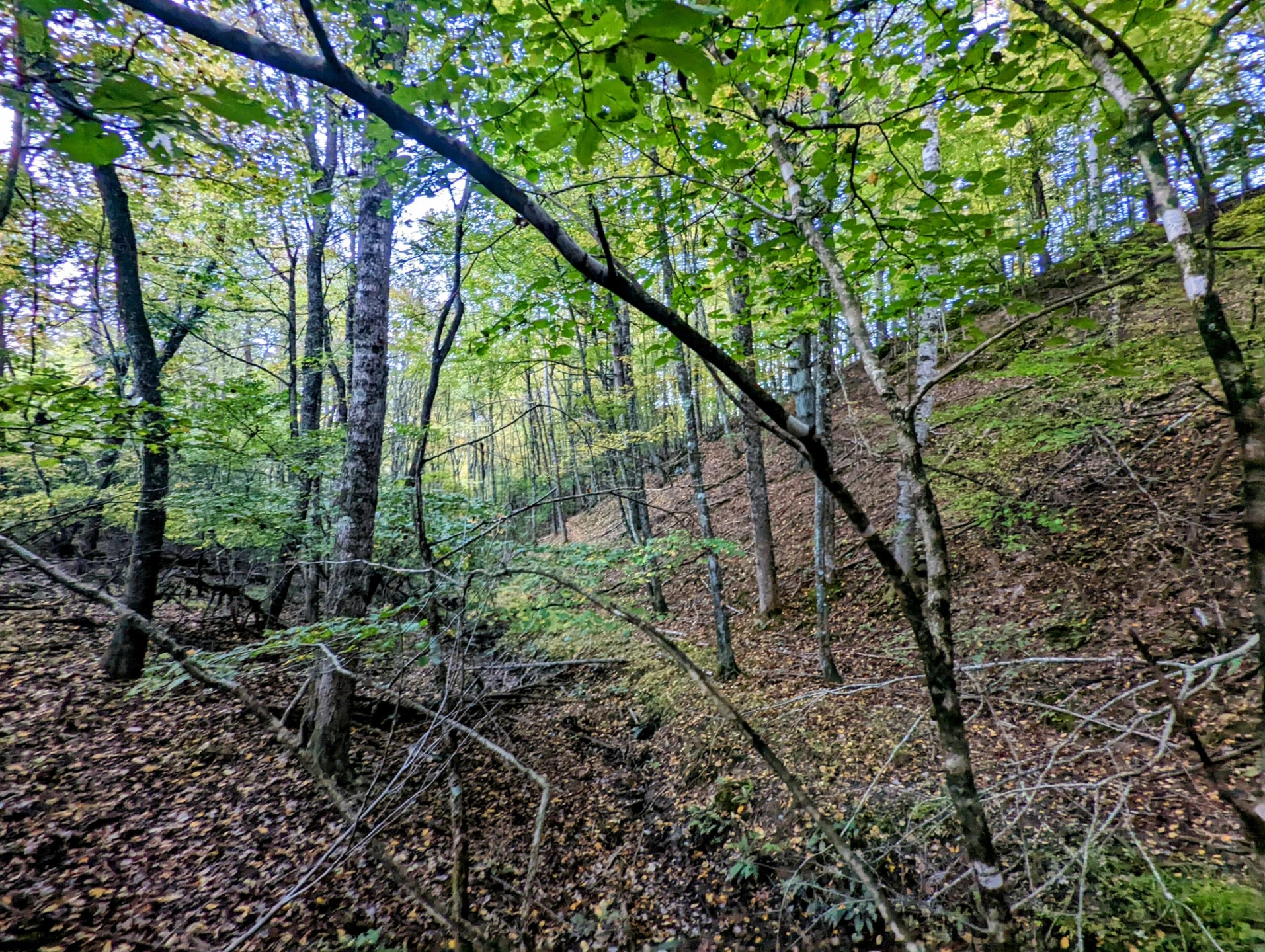 0 Laurel Creek RD NE - Photo 37