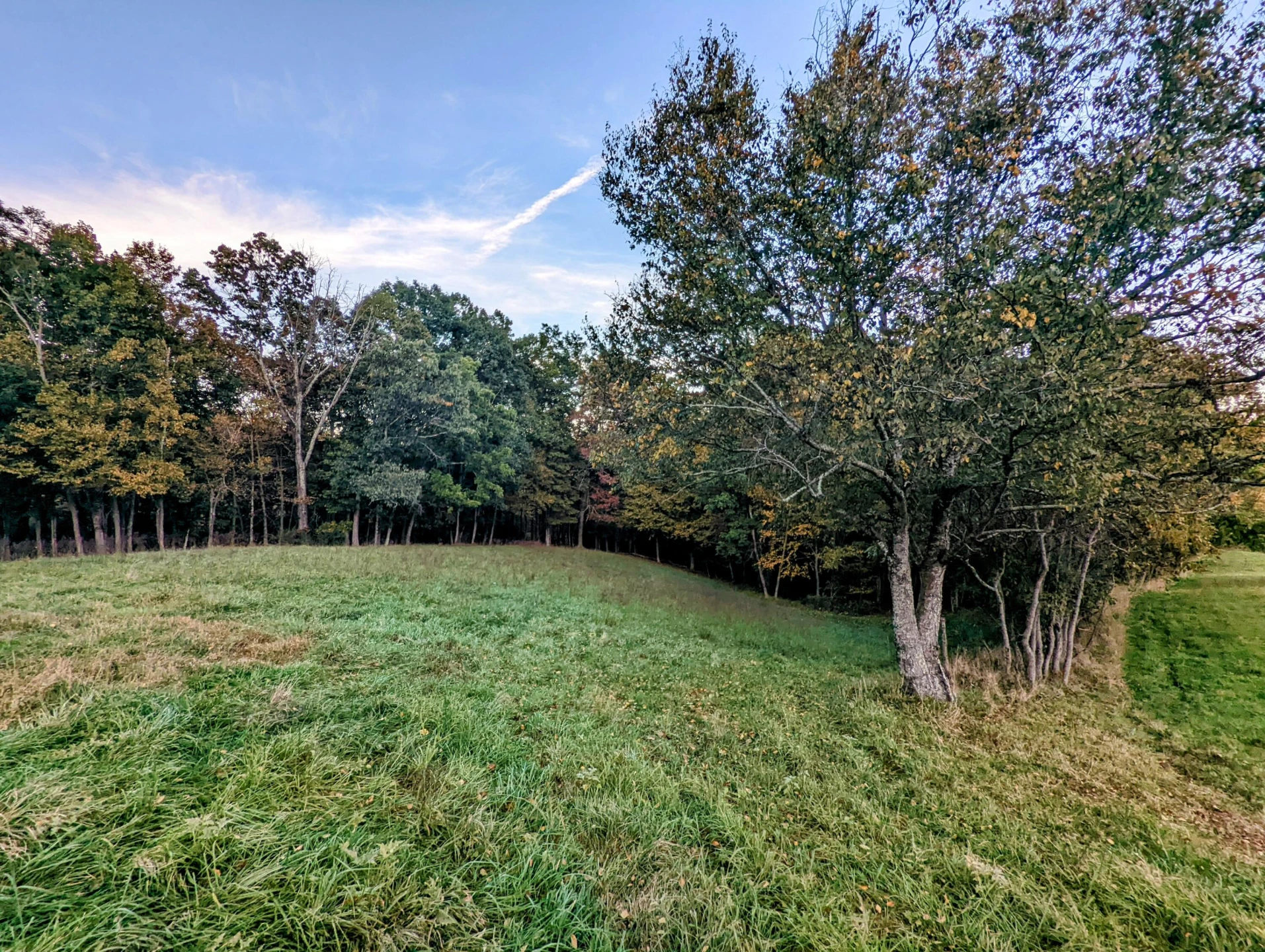 0 Laurel Creek RD NE - Photo 38