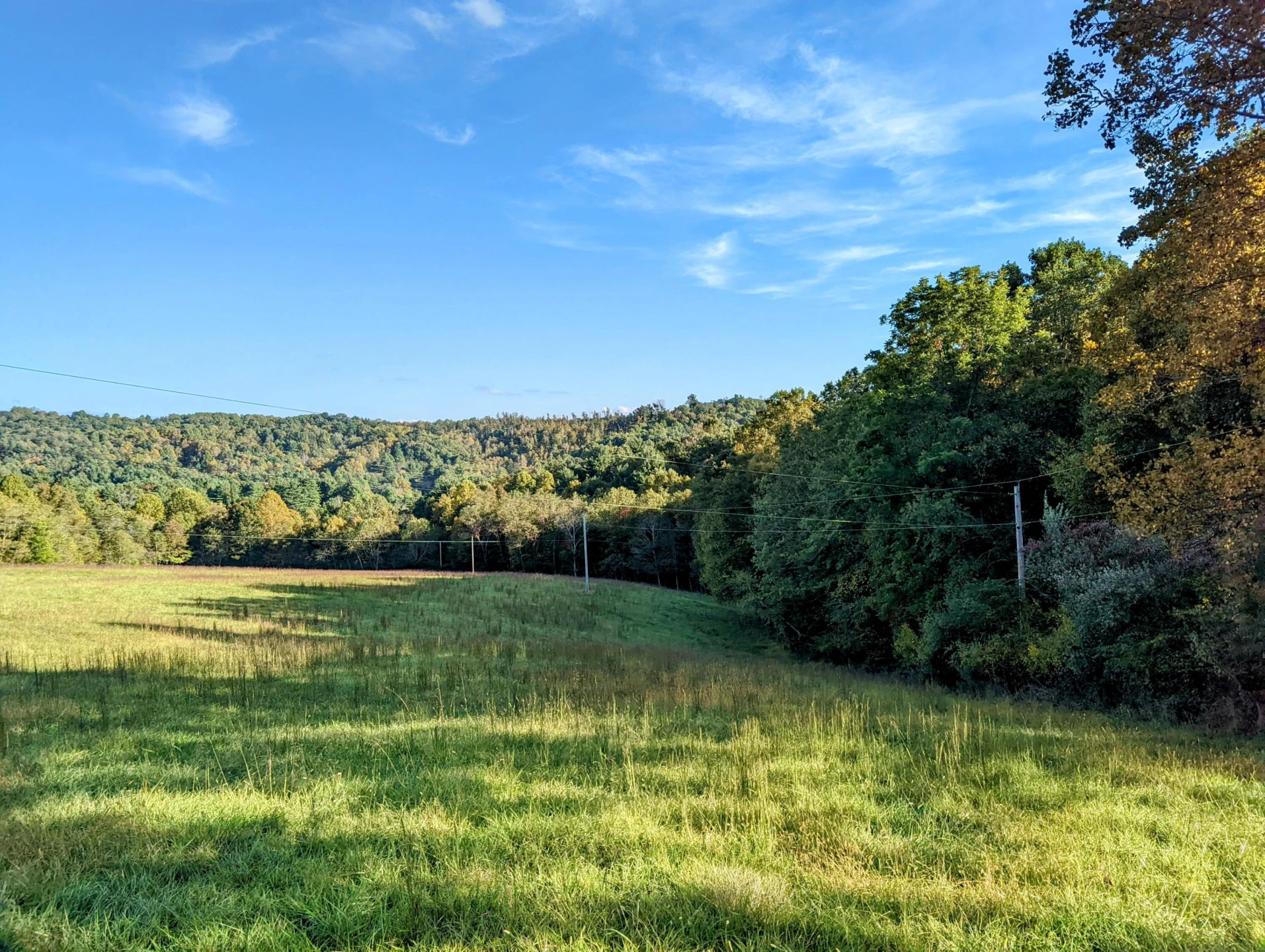 0 Laurel Creek RD NE - Photo 4