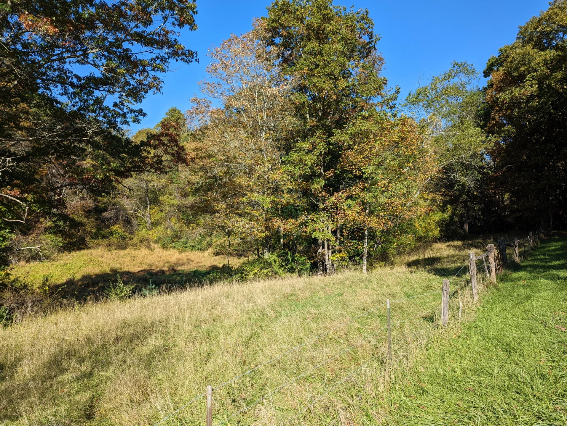 0 Laurel Creek RD NE - Photo 42