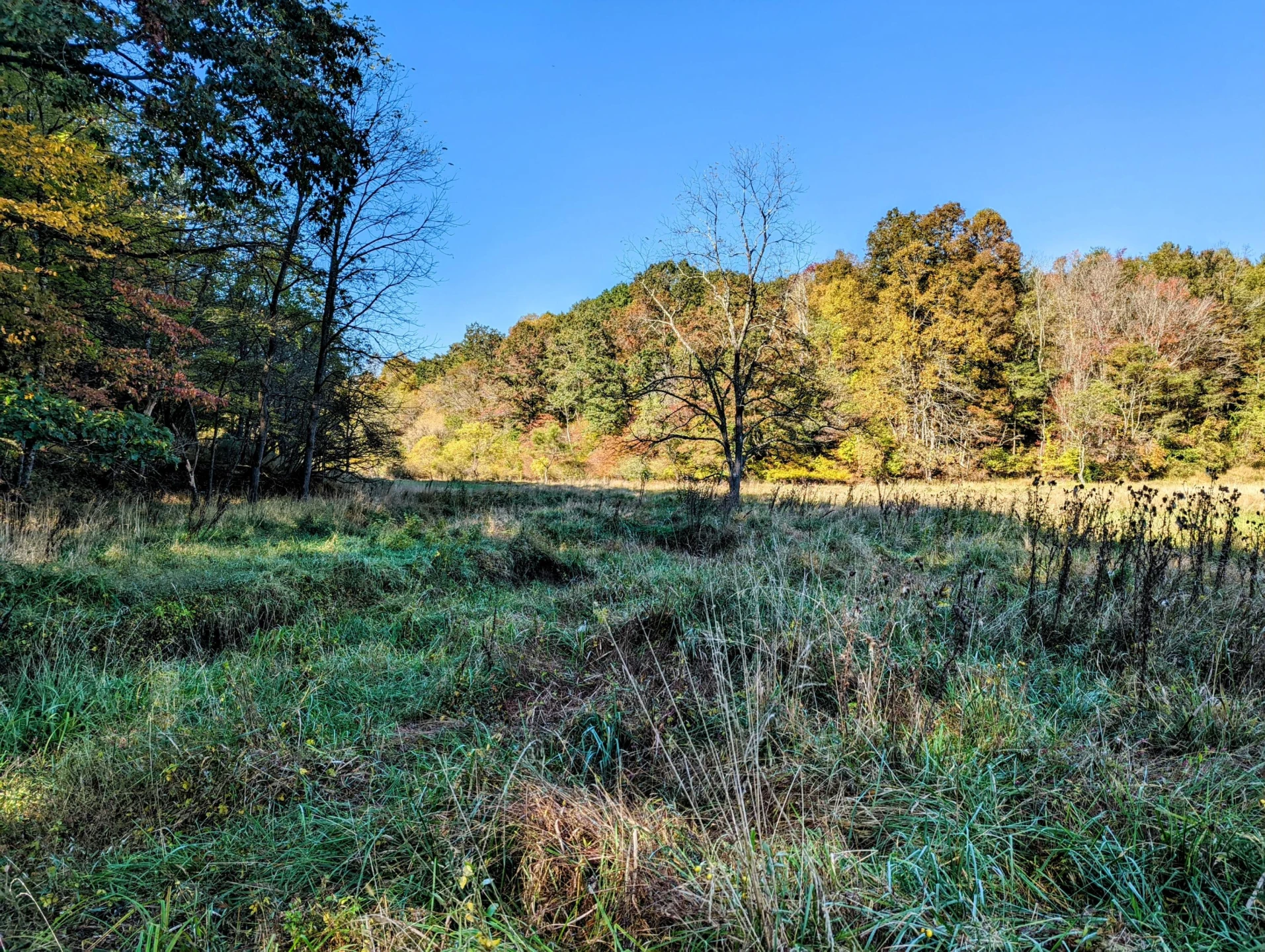 0 Laurel Creek RD NE - Photo 44