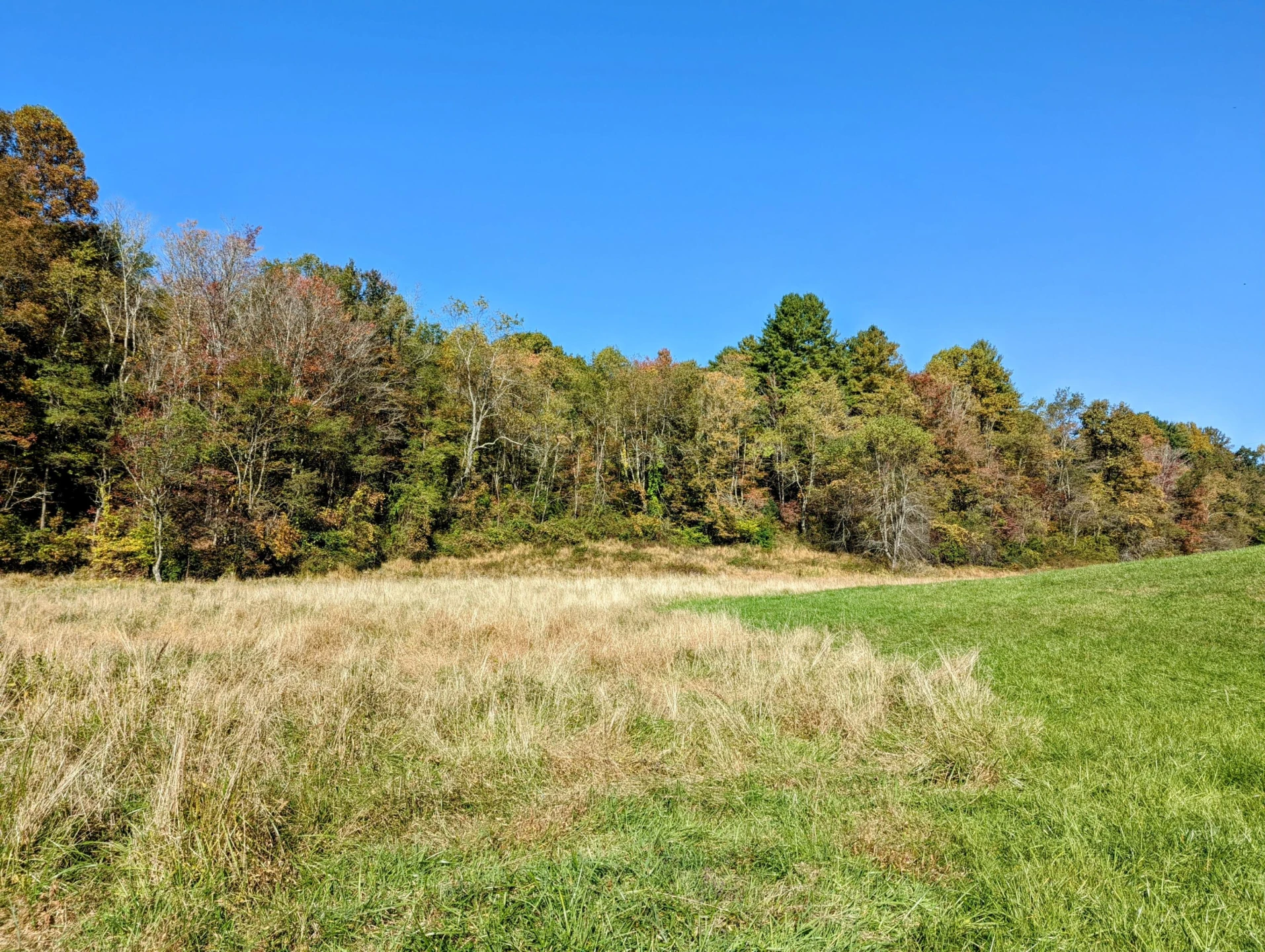 0 Laurel Creek RD NE - Photo 45