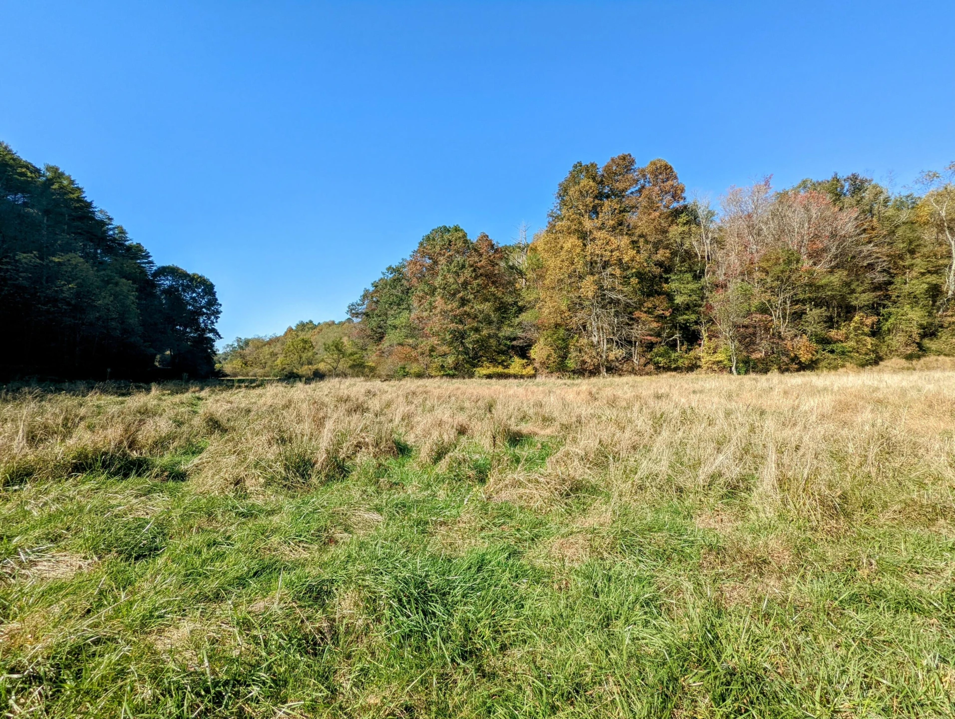 0 Laurel Creek RD NE - Photo 46