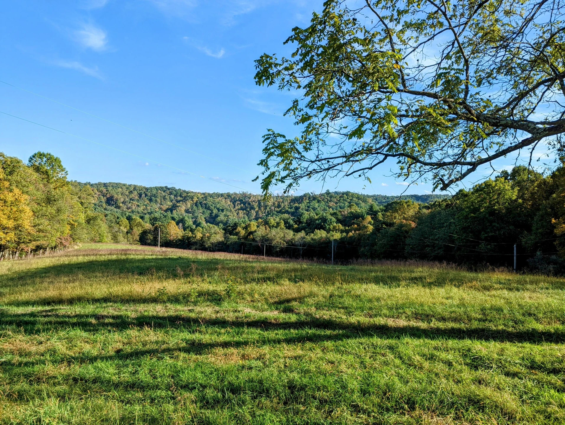 0 Laurel Creek RD NE - Photo 5