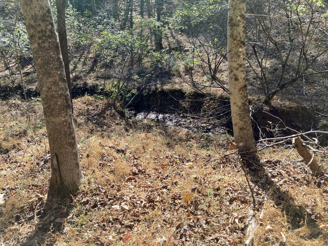 0 Laurel Creek RD NE - Photo 50