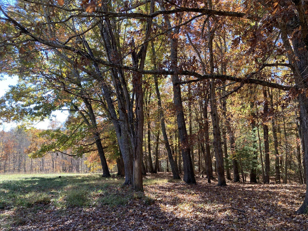 0 Laurel Creek RD NE - Photo 51