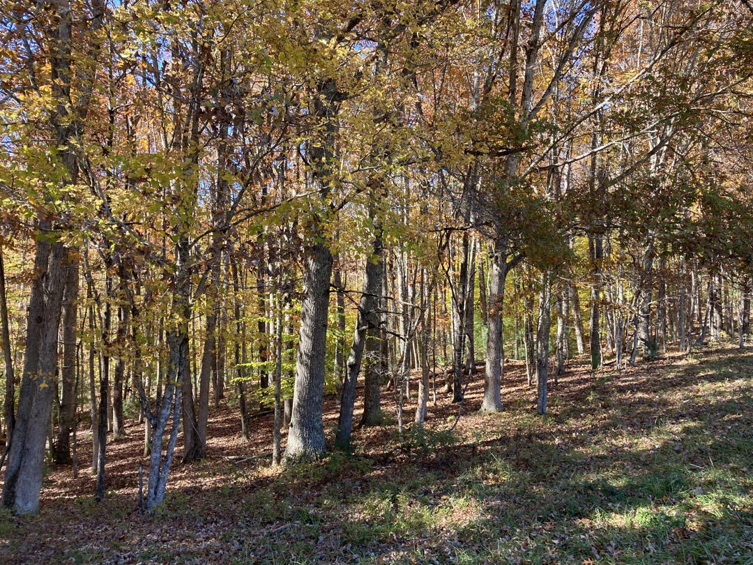 0 Laurel Creek RD NE - Photo 52